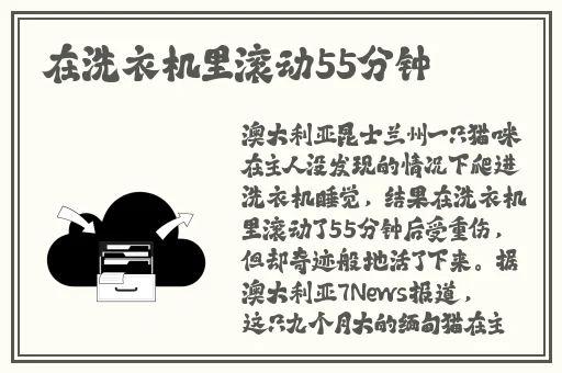 精品久久久久中文字幕无码油